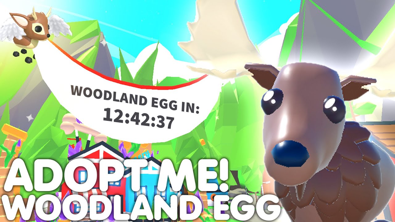 🥚👀WOODLAND EGG UPDATE RELEASE! ADOPT ME HOW TO PREPARE FOR THE WOODLAND  EGG! +ALL INFO ROBLOX 