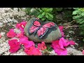 🦋Como Pintar una Mariposa EFECTO 3D /HOW TO DRAW A BUTTERFLY WITH 3D EFFECT🦋