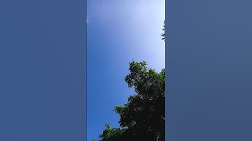 سورة الشعراء (الذي خلقني فهو يهدين القارئاسلام صبحي