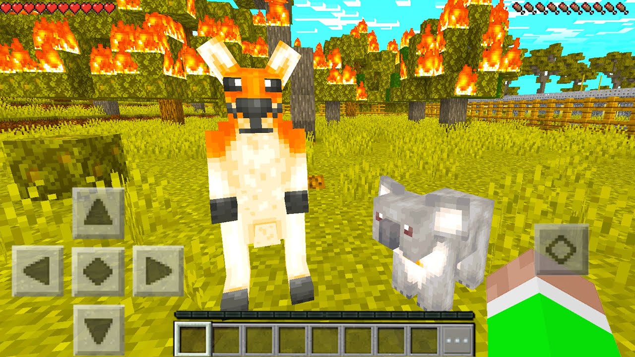 ⁣Minecraft PE : I SAVED AUSTRALIA FROM THE BUSH FIRES! (Climate Warriors)