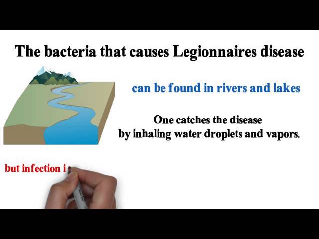 Everything you need to know about Legionnaires disease
