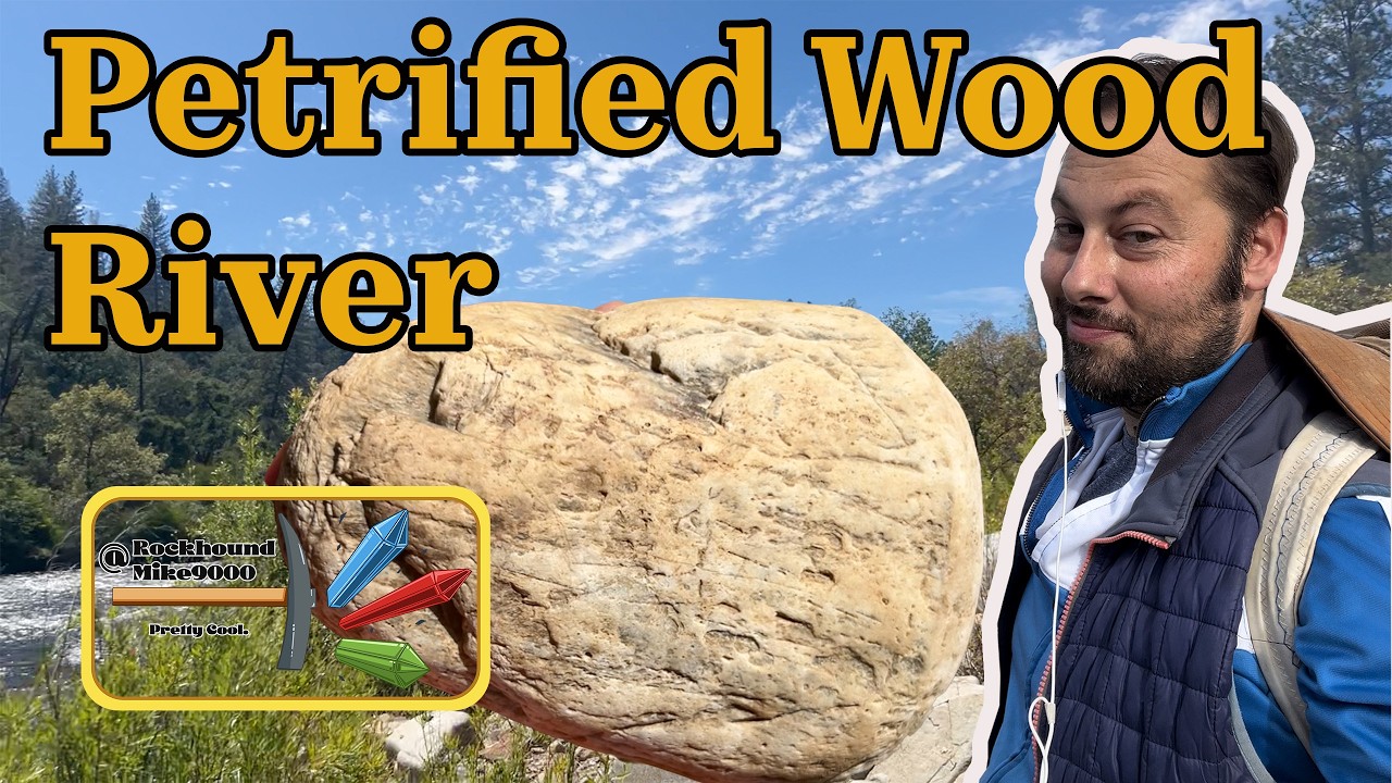 Petrified Wood