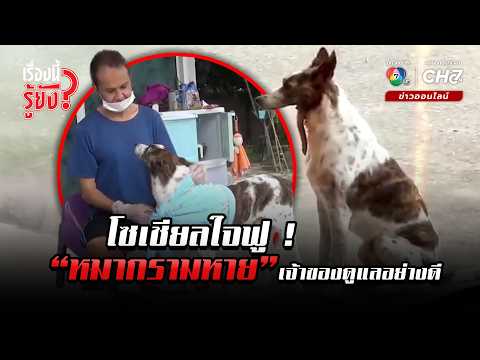 Social media warms up to "dog with missing jaw" who is well-loved by its owner | Did you know abo...
