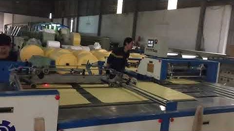 Máy cắt bao bì PP