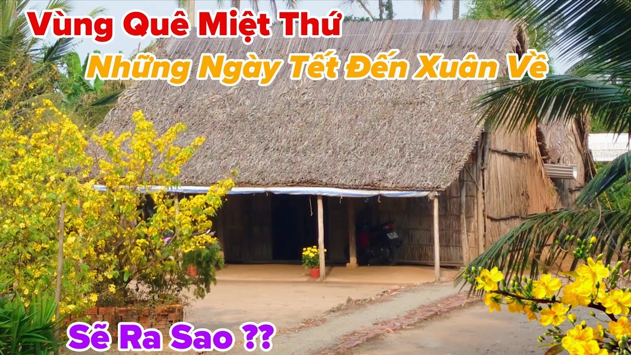 Vùng Quê Miệt Thứ Những Ngày Tết Đến Xuân Về Sẽ Như Thế Nào?