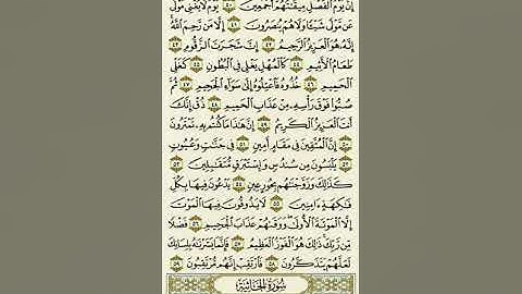 سورة الدخان من الآية ٤٠ إلى الآية ٥٩بصوت القارئ ماهر المعيقلي
