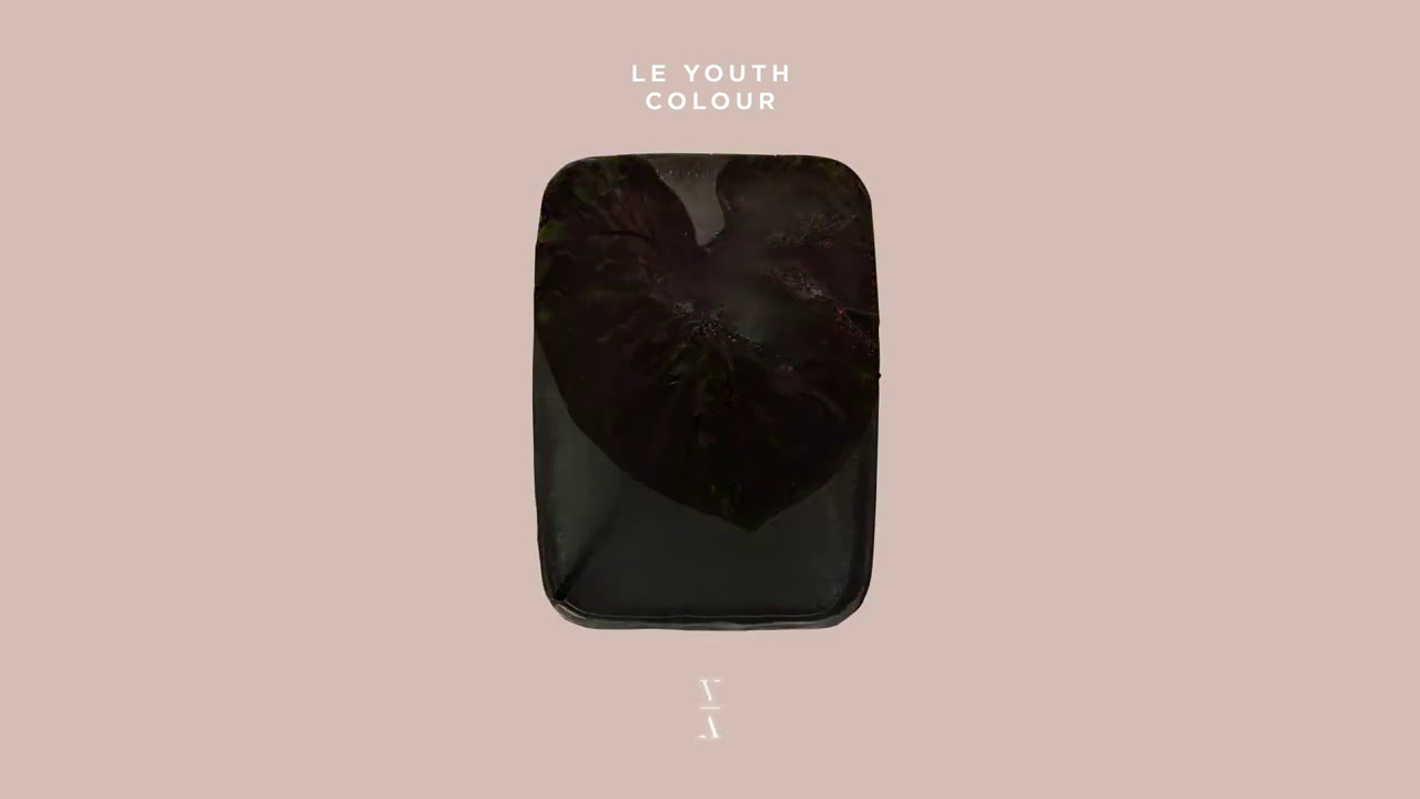 Le Youth - Colour [THIS NEVER HAPPENED]