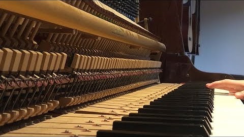 Birch - Shall We Introduce The End? [Official Video]