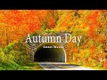 🍁🍁🍁Incredible Fall Foliage - Best 4K Autumn Nature Scenes from Around the World + Calming Music