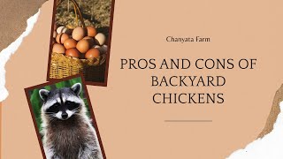 Backyard Chickens: Pros & Cons Every Beginner Should Know!