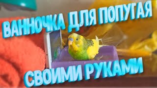 Ванночка для попугая своими руками