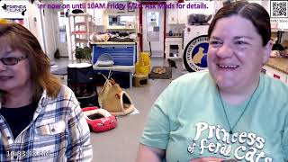 Q&A 04-26-2024  Friends of Felines Rescue Center (FFRC)