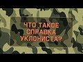 Справка уклониста (справка вместо военного билета)