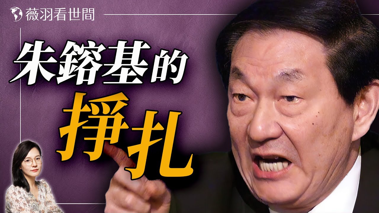 清官還是權臣？「經濟沙皇」的背後，隱藏著怎樣的真相？｜薇羽看世間 20241211