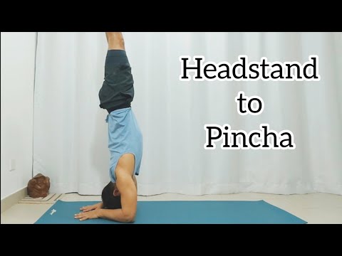 How to do Headstand to Forearm Stand (Pincha Mayurasana) | Yoga Macau 🇲🇴
