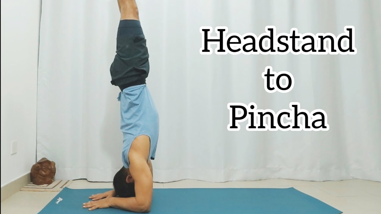Headstand Vs Forearm Stand Headstand Vs Forearm Stand