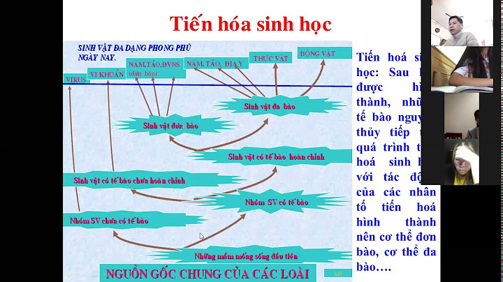 Tiến hóa tiền sinh học là quá trình