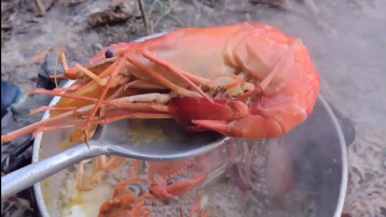 CAMARÃO PITU, SIRI E BAGRE... PESCARIA E PREPARO.