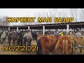 Жаркент мал базар  19.02.2021