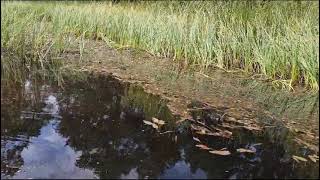 Brutal Bordon Slab Video 5