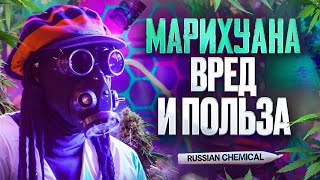 Марихуана Вред или Польза? История Конопли, Как Она Влияет на Человека. Мозг под Веществами