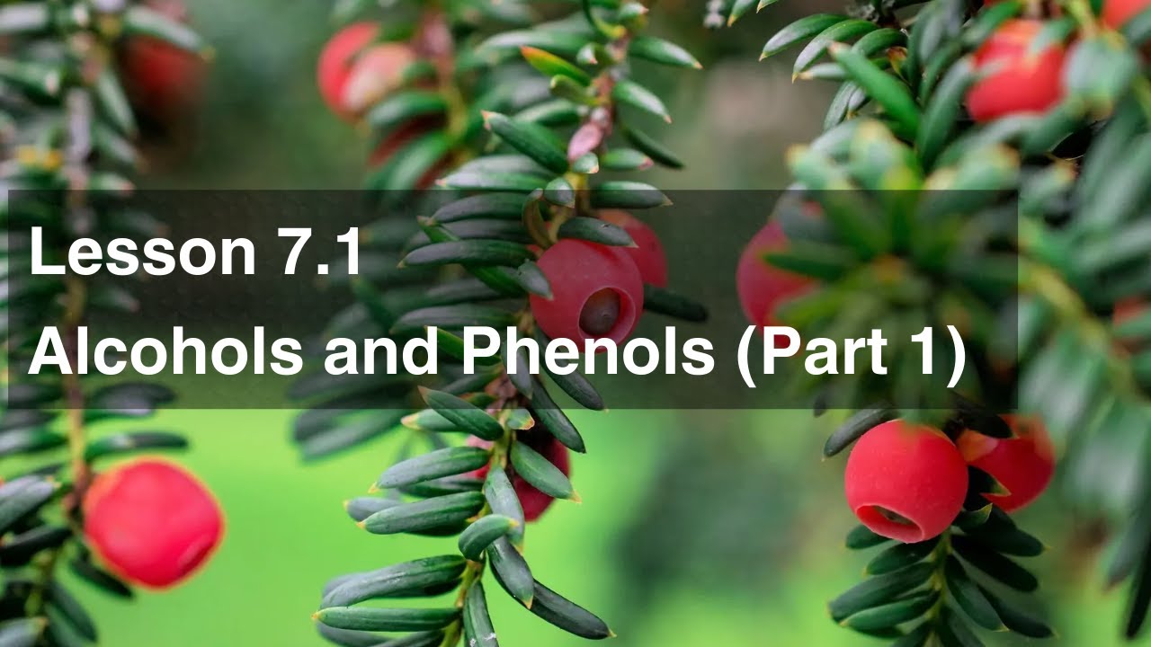 Lesson 7.1 Alcohols and Phenols (Part 1)