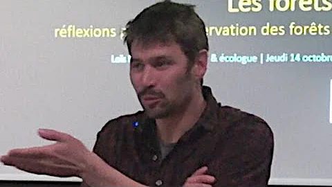 La fort en libre volution par Los Morel, naturalis...