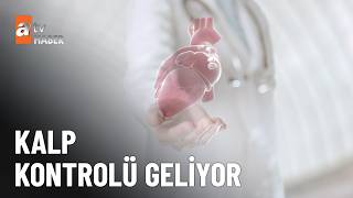 Ani can kayıplarını önleme için yeni çalışma - atv Haber 31 Temmuz 2026