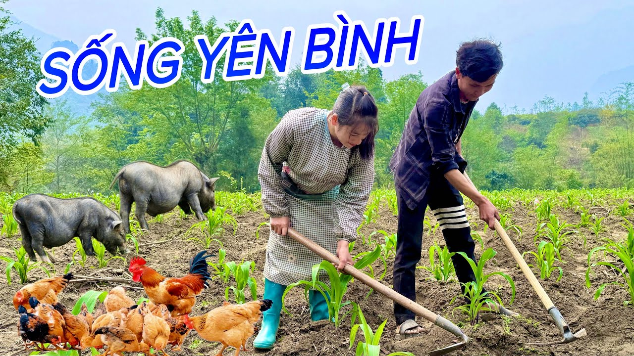MẸ ĐƠN THÂN NUÔI 3 CON NHỎ CHÌM ĐẮM TRONG HẠNH PHÚC VỚI TÌNH MỚI