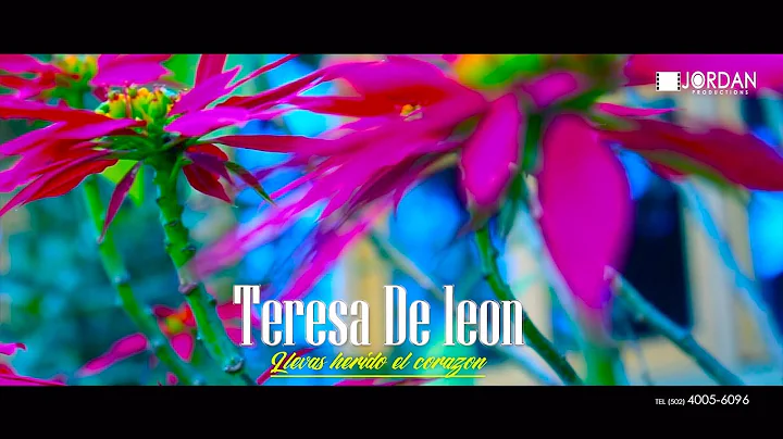 SOLISTA TERESA DE LEON // LLEVAS HERIDO EL CORAZN //