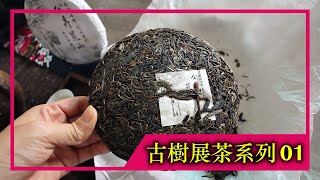 《古樹展茶系列》EP.01｜2021年公弄荒山古樹純料（4K UHD）【藝寶堂台灣張哥】