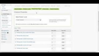 WordPress Profits Theme Create Membership Site From Scratch Video 5