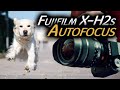 Test Autofocus Fuji  X-H2s : Petite ou Grosse révolution ? Quelles limites ?