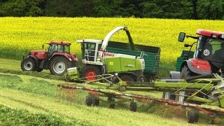 1. Schnitt 2016 | CLAAS Jaguar 850 | 6 CASE IH Traktoren | 2 VALTRA | Mähen - Schwaden - Häckseln