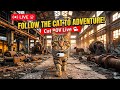 See the World Through a Cat's Eyes | Cat POV Cam Live