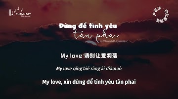 [Vietsub] Đừng để tình yêu tàn phai (Bản DJ) (别让爱凋落) - Lư Nhuận Trạch (卢润泽) (DJ卡点节奏版)