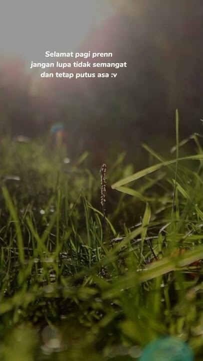 storywa selamat pagi 30detik