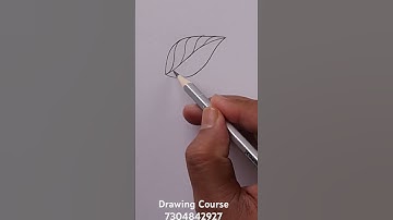 Learn Drawing in 30 Days - Day 5 #drawing #shorts #ytshorts #youtubeshorts #sketchbookbyabhishek