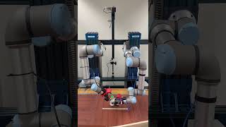 Diffusion policy on Bimanual Robot