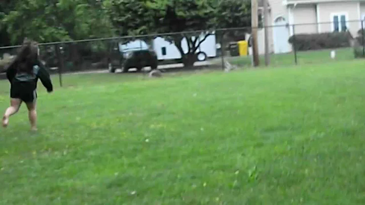 Elizabeth chasing ducks.. Take #2 !