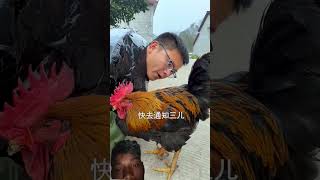 Champa Kachwa Bana Gareeb New Viral Gadgets, Smart Appliances, Kitchen Utensils/Home Inventions😂