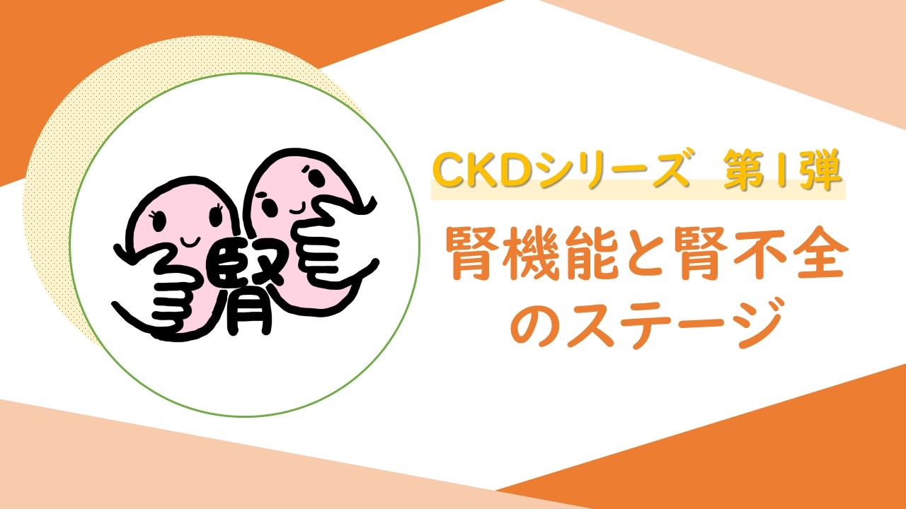 CKDシリーズ第1弾】腎機能と腎不全のステージ - YouTube