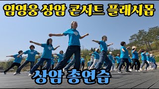 상암 총연습 : 임영웅 상암 콘서트 플래시몹