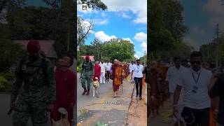 Walk for Peace:From Sri Lanka to the USA 🇱🇰🇺🇸 #walkforpeace #srilanka #worldpeace #alokathepeacedog