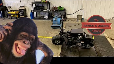 Coleman Mini Bike Dyno! And tech talk with Jessie ...