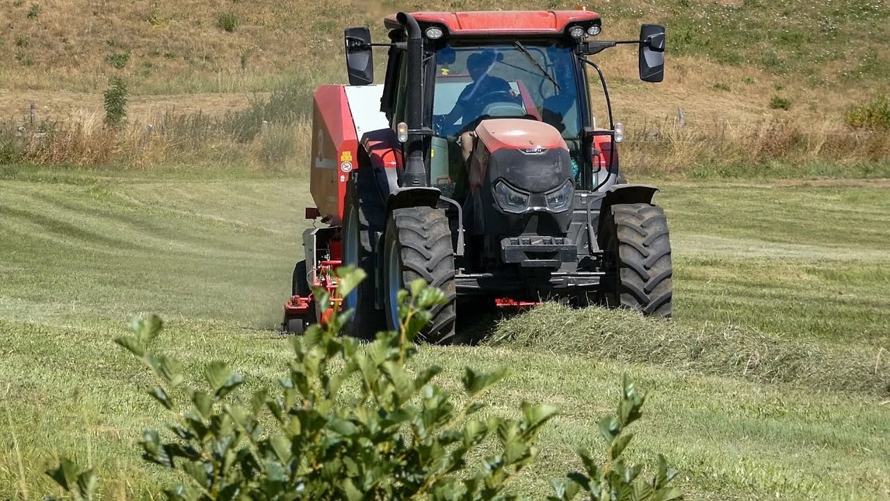 Pressage & Ramassage de foin 2022 | Case Vestrum 110 | case maxxum 115 | lely Rp 235 | Cargo SP 7007