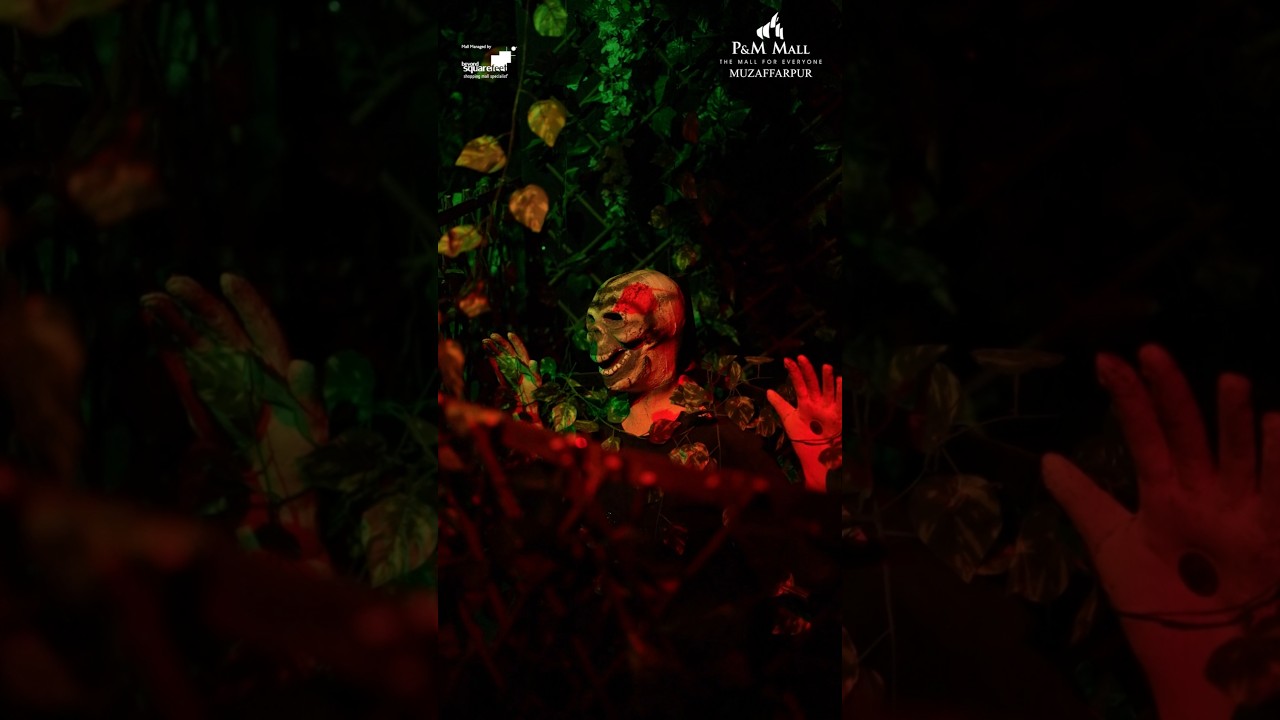 Jungle Safari at P&M Mall | Adventure, Fun & Family Experience 🐅🌿