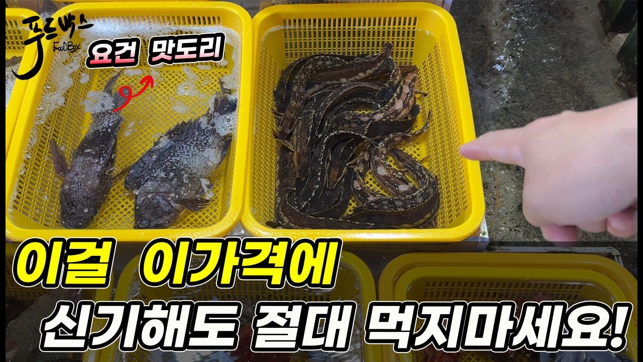 이걸 이가격에 ~ 이건 신기해도 절대 먹지마세요   [휴가지 수산시장 점검]