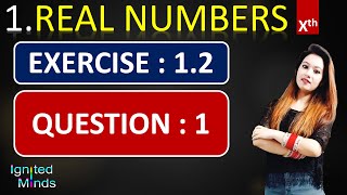 Question 1 | Exercise 1.2 | Chapter 1 | Real Numbers | Class 10th Math