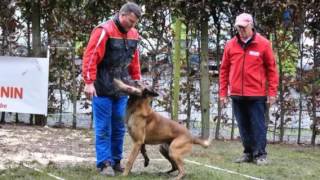 Ghost At Divoz-Ramet 2016